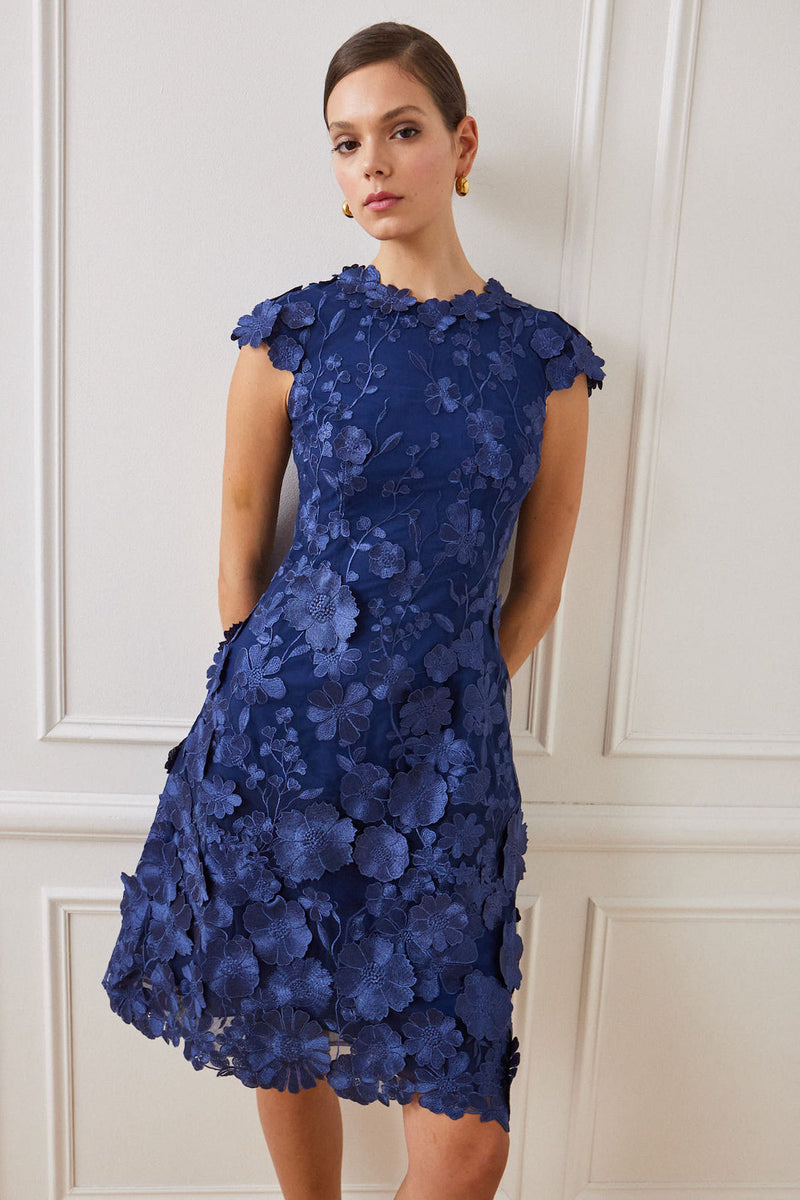 3D Appliquéd Floral Lace Fit-And-Flare Dress